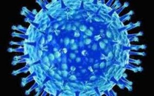 لسلالة الفيروسية إتش7إن9 من انفلونزا الطيور قد تصبح جائحة عالمية