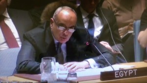 السفير عمرو أبوالعطا، مندوب مصر الدائم لدي الأمم المتحدة