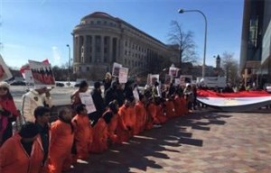 الجالية المصرية بالولايات المتحدة الأمريكية في وقفة احتجاجية امام البيت الابيض