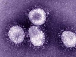 إرتفاع محصلة وفيات فيروس كورونا في السعودية إلى 504 حالات
