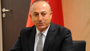 الخارجية التركية تعلن تأجيل تدريب المعارضة السورية في تركيا