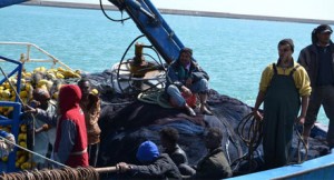 وزارة الداخلية التونسية  انتشال جثث خمسة مهاجرين غير شرعيين بسواحل ولاية المنستير
