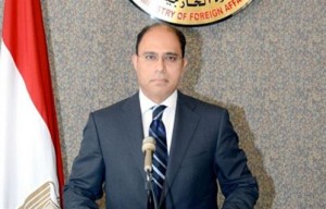 المتحدث الرسمي باسم وزارة الخارجية، أحمد أبو زيد