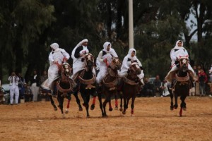 مدرسة الفارس للفروسية بصبراتة تنظم استعراض للفروسية 2