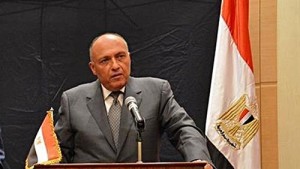 وزير خارجية مصر ينفي احتمالية تدخل عسكري دولي في ليبيا