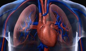 إختبار سويدي جديد لعلاج مرض قصور القلب
