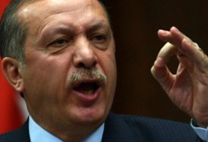 أردوغان استخدم الانقلاب لتنفيذ أجندته المتطرفة